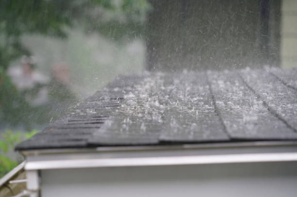 Best Green or Eco-Friendly Roofing Solutions  in Midlothian, VA